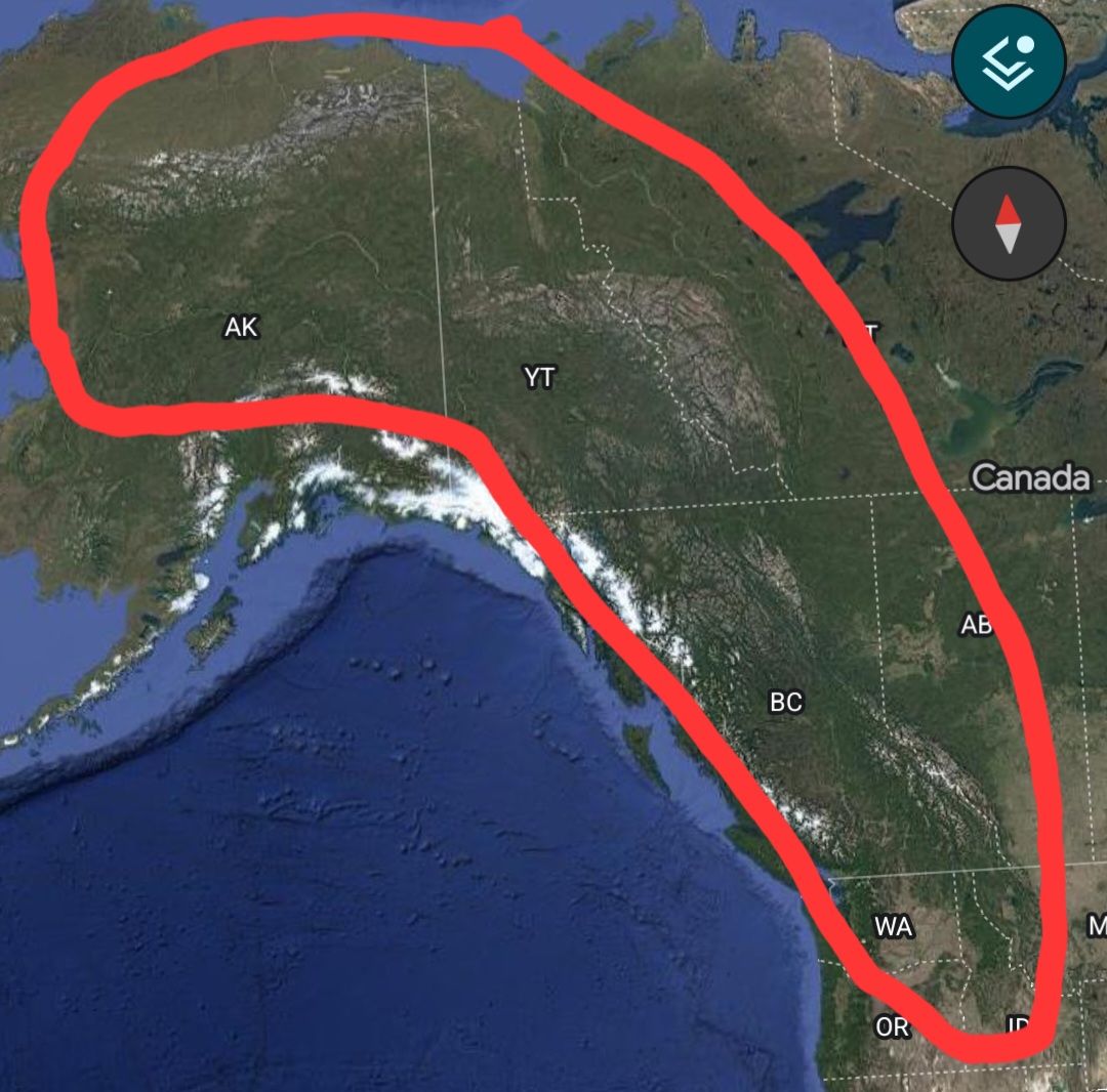 #Fossil: Have you ever wondered how big dragons really were? Could this be a fos