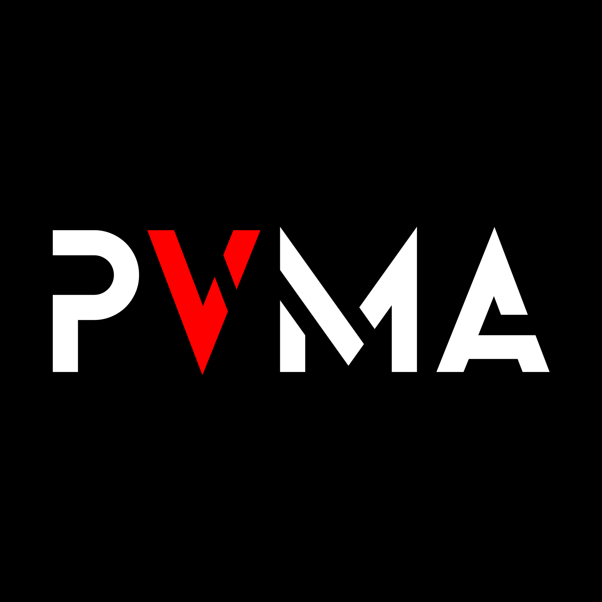DJ PVMA profile avatar